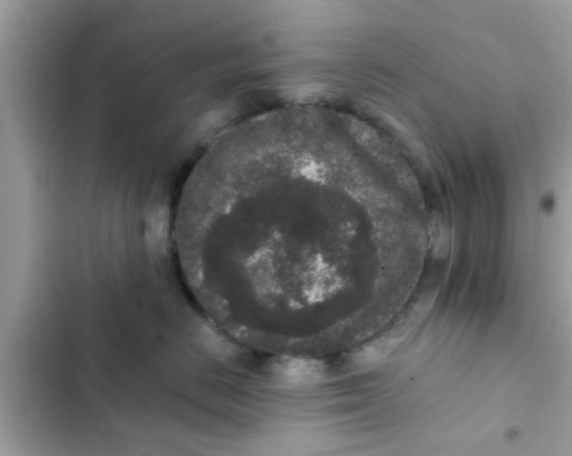 X0000102400670200808151944