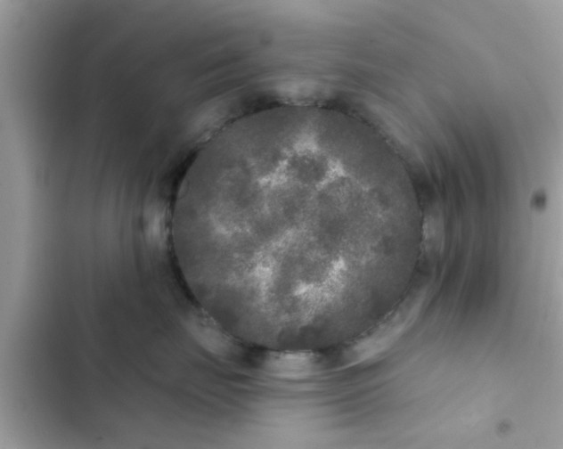 X0000102400671200808151944