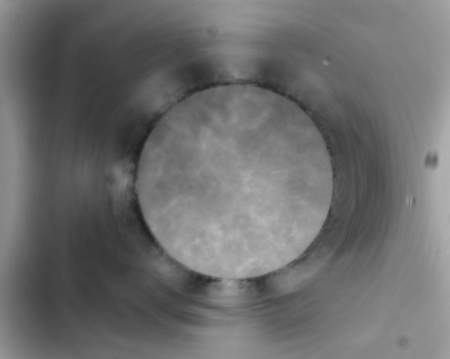 X0000102400672200808151944