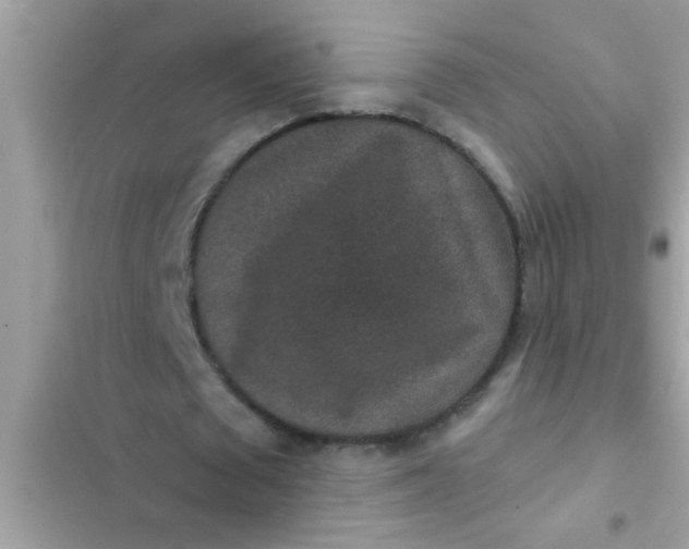 X0000102400673200808151943