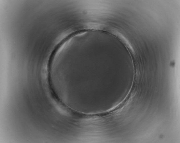 X0000102400674200808151943