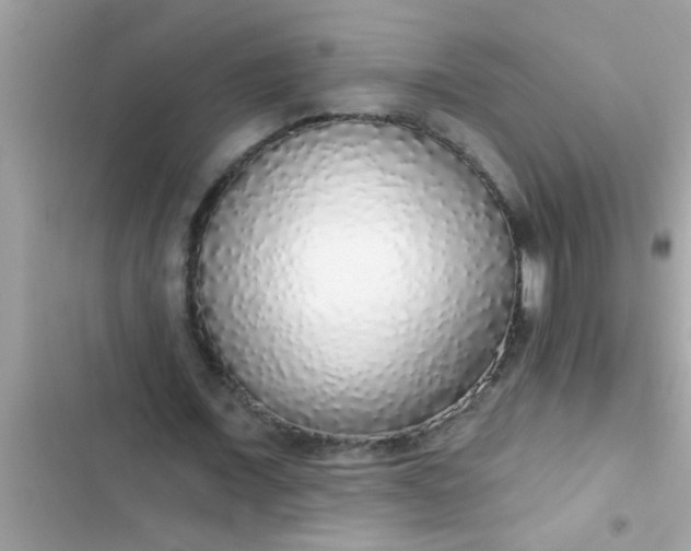 X0000102400675200808151943