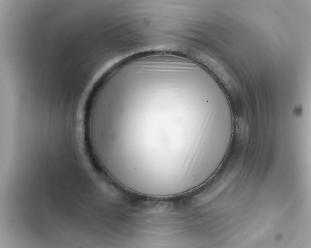 X0000102400676200808151943