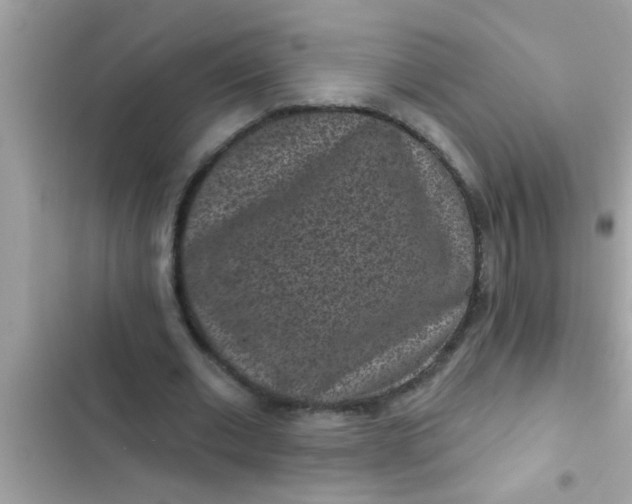 X0000102400677200808151943