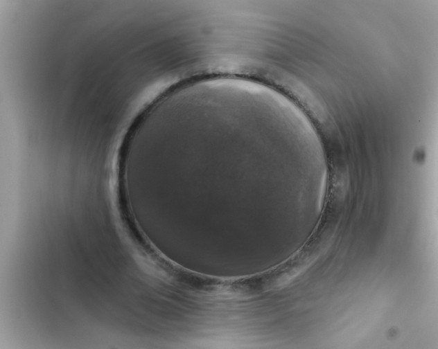 X0000102400678200808151943