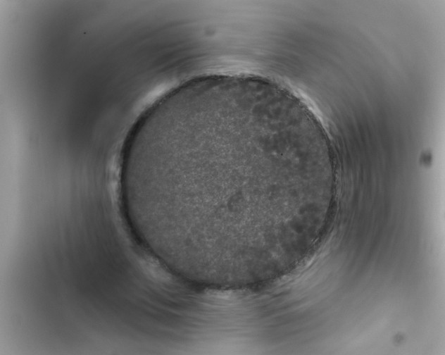 X0000102400679200808151943