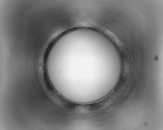 X0000102400680200808151943