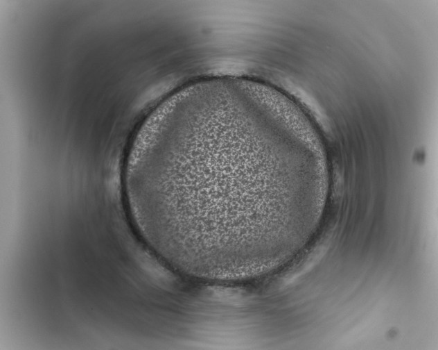 X0000102400681200808151943