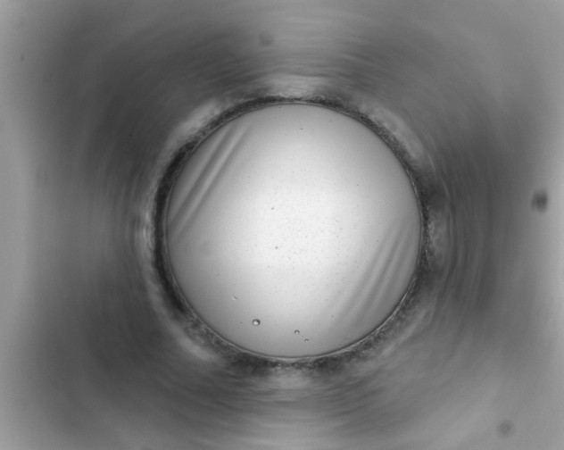 X0000102400682200808151943