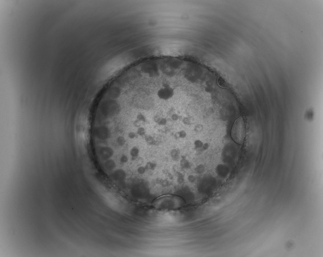 X0000102400683200808151943