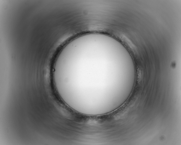 X0000102400684200808151943