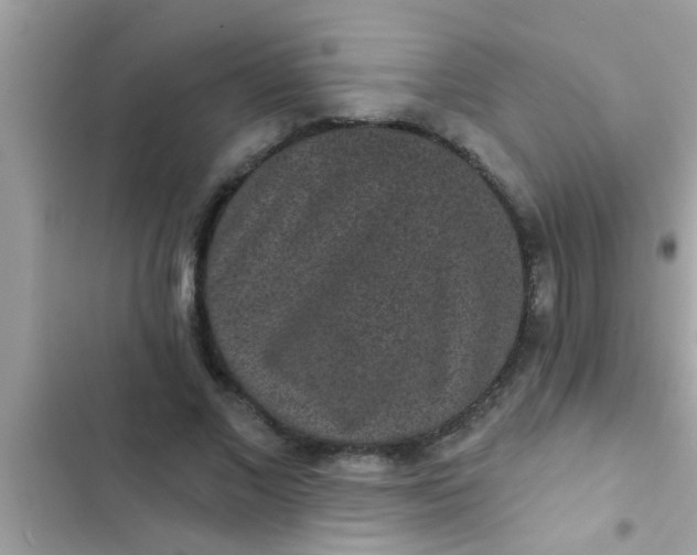 X0000102400685200808151943