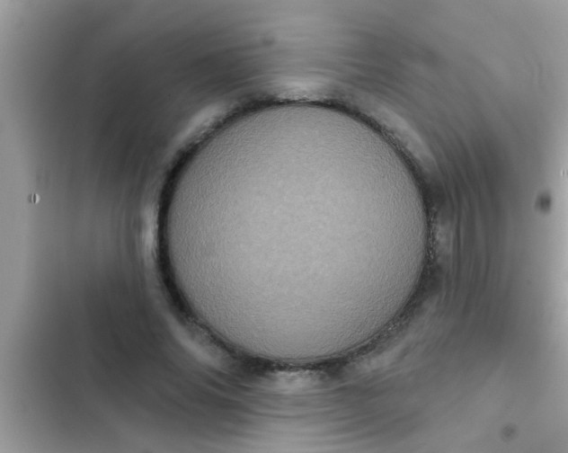 X0000102400686200808151943