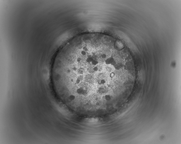 X0000102400687200808151943