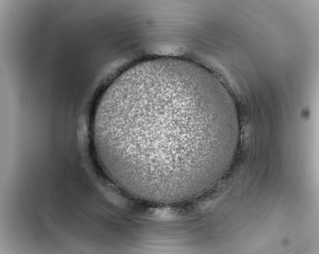 X0000102400688200808151943