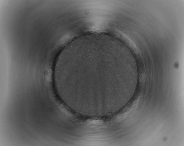 X0000102400689200808151943