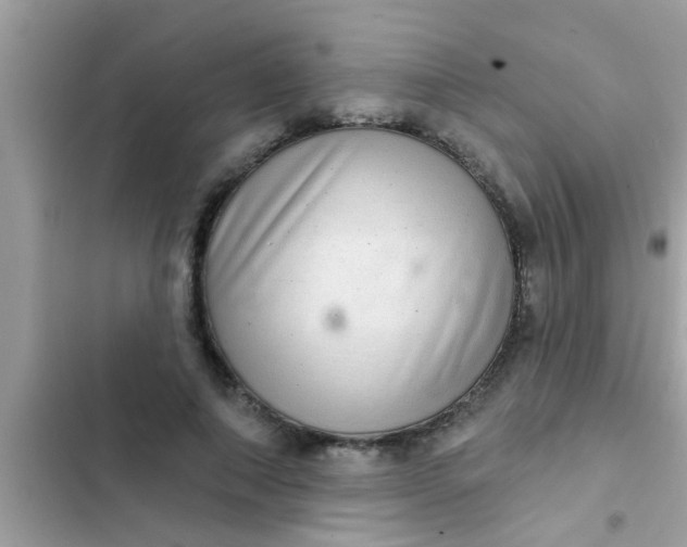 X0000102400690200808151943