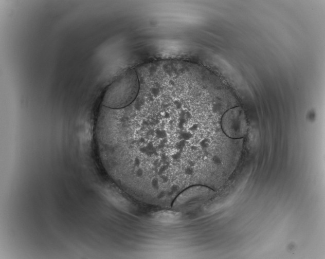 X0000102400691200808151943