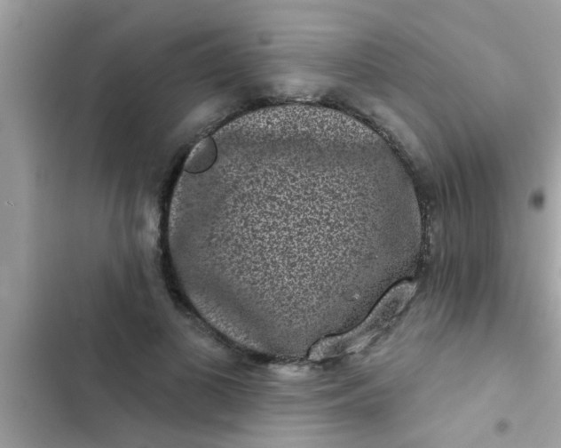 X0000102400693200808151943