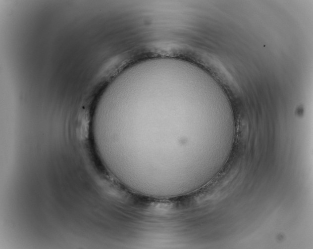 X0000102400694200808151943