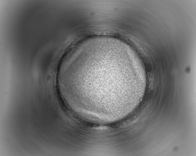 X0000102400695200808151943