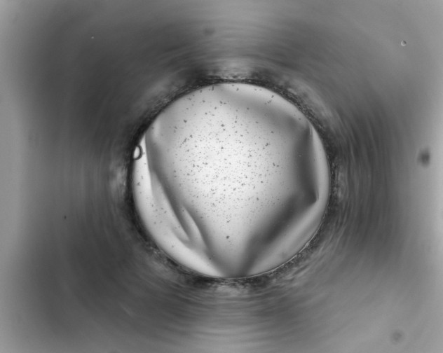 X0000102400697200808151943