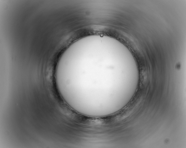 X0000102400698200808151943