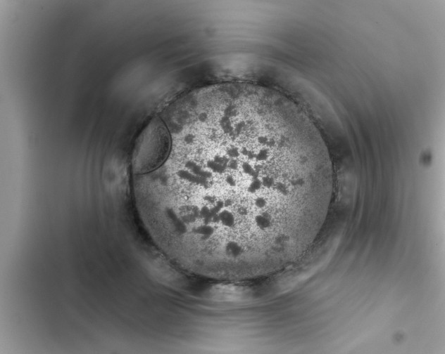 X0000102400699200808151943