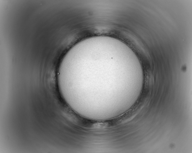 X0000102400700200808151943