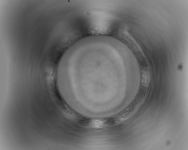 X0000102400701200808151943