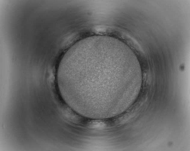 X0000102400702200808151943