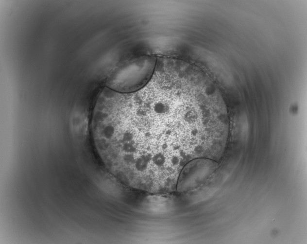 X0000102400703200808151943