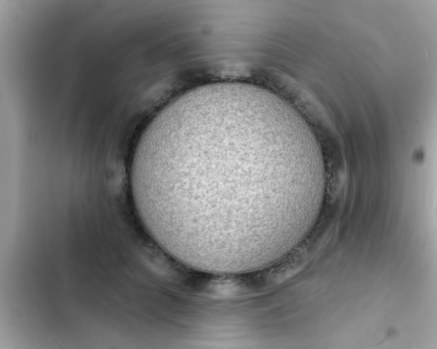 X0000102400704200808151943