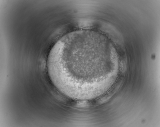 X0000102400705200808151943