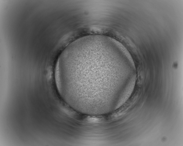 X0000102400706200808151943