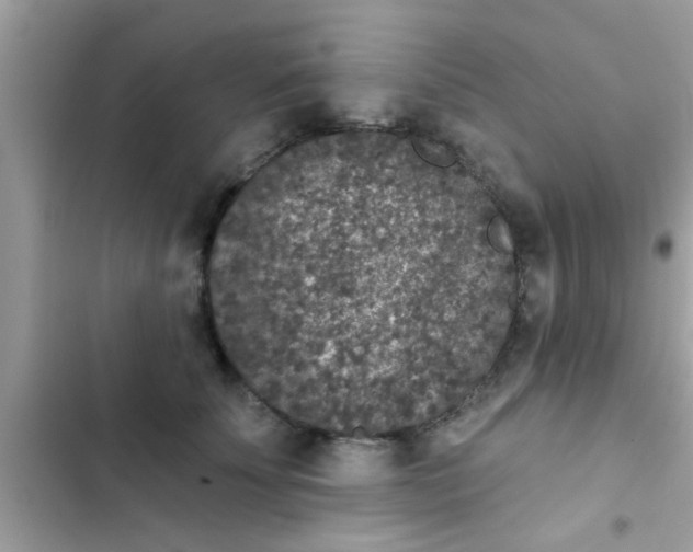 X0000102400707200808151943