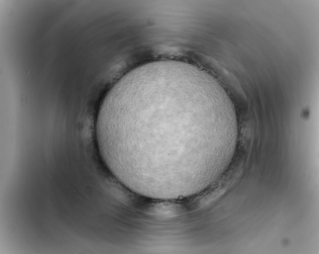 X0000102400708200808151943