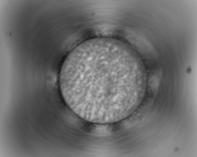 X0000102400709200808151943