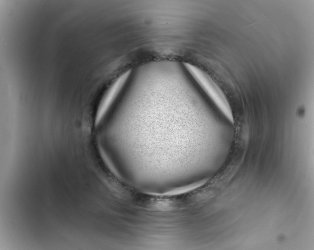 X0000102400710200808151943