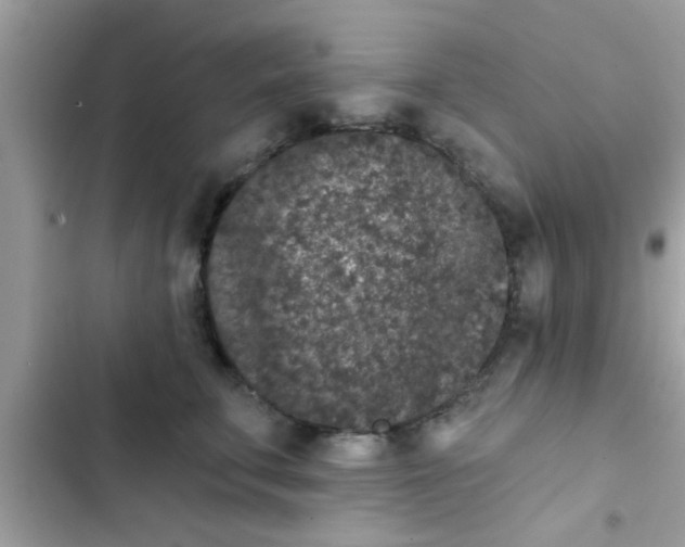 X0000102400711200808151943