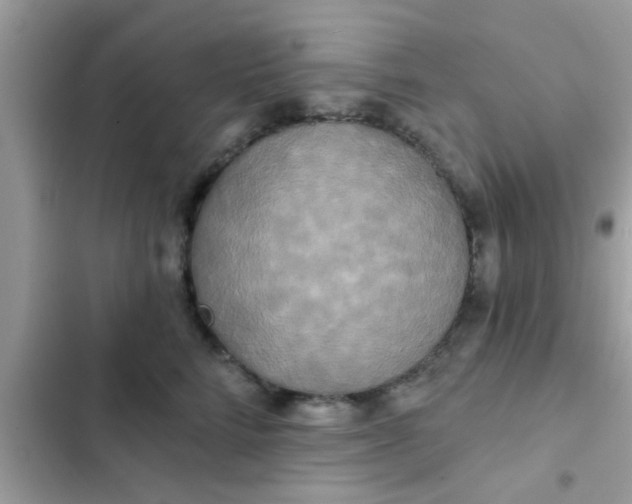 X0000102400712200808151943