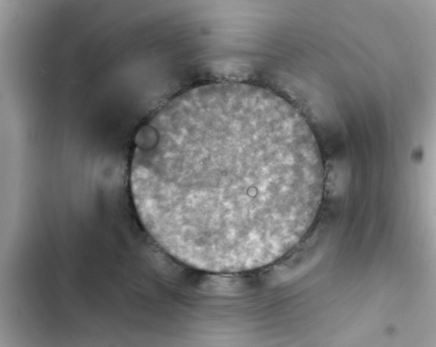 X0000102400713200808151943