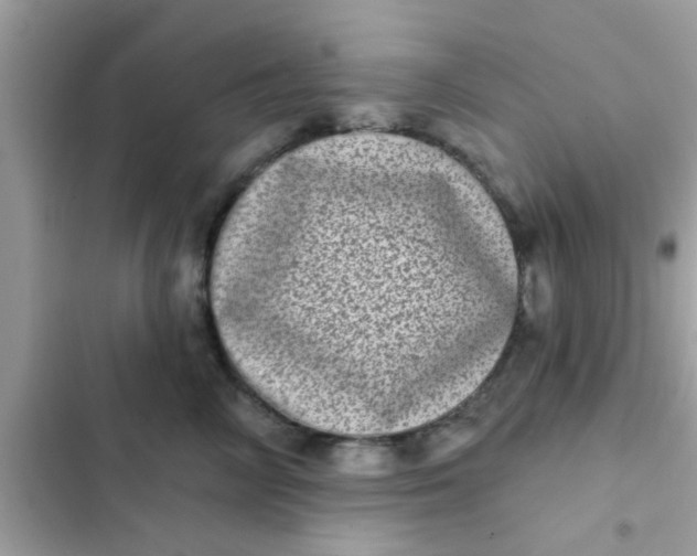 X0000102400714200808151943