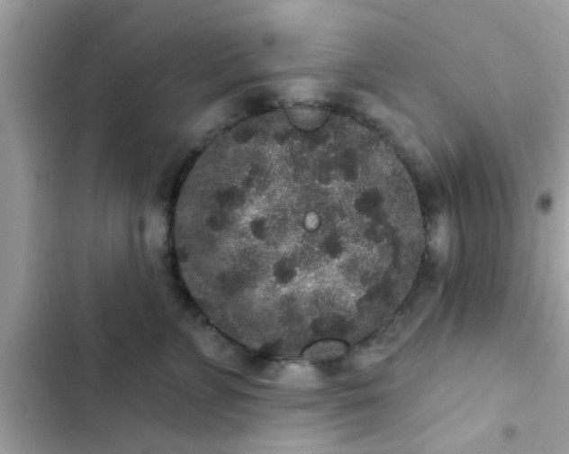 X0000102400715200808151943