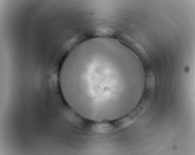 X0000102400716200808151943