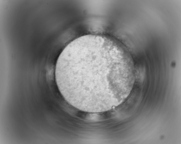 X0000102400717200808151943