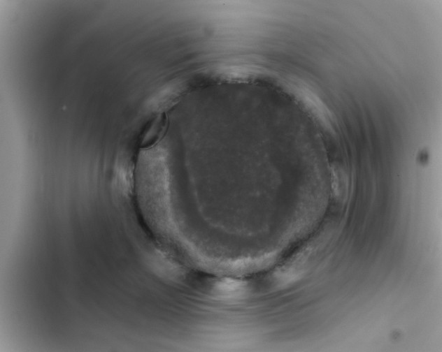 X0000102400718200808151943