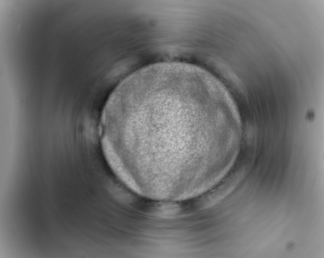 X0000102400719200808151943