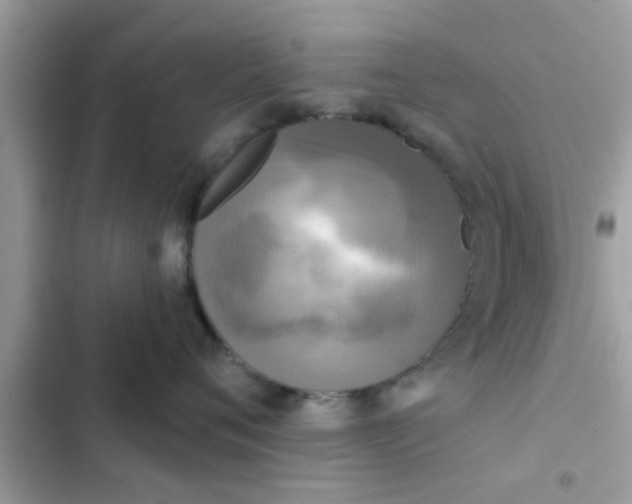 X0000102400720200808151943