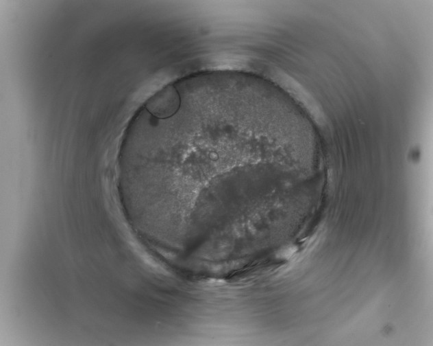 X0000102400721200808151942